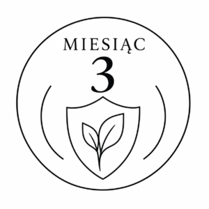Miesiąc 3 – Bezpieczeństwo i formulacja