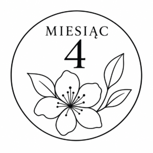 Miesiąc 4 – Biblioteka surowców
