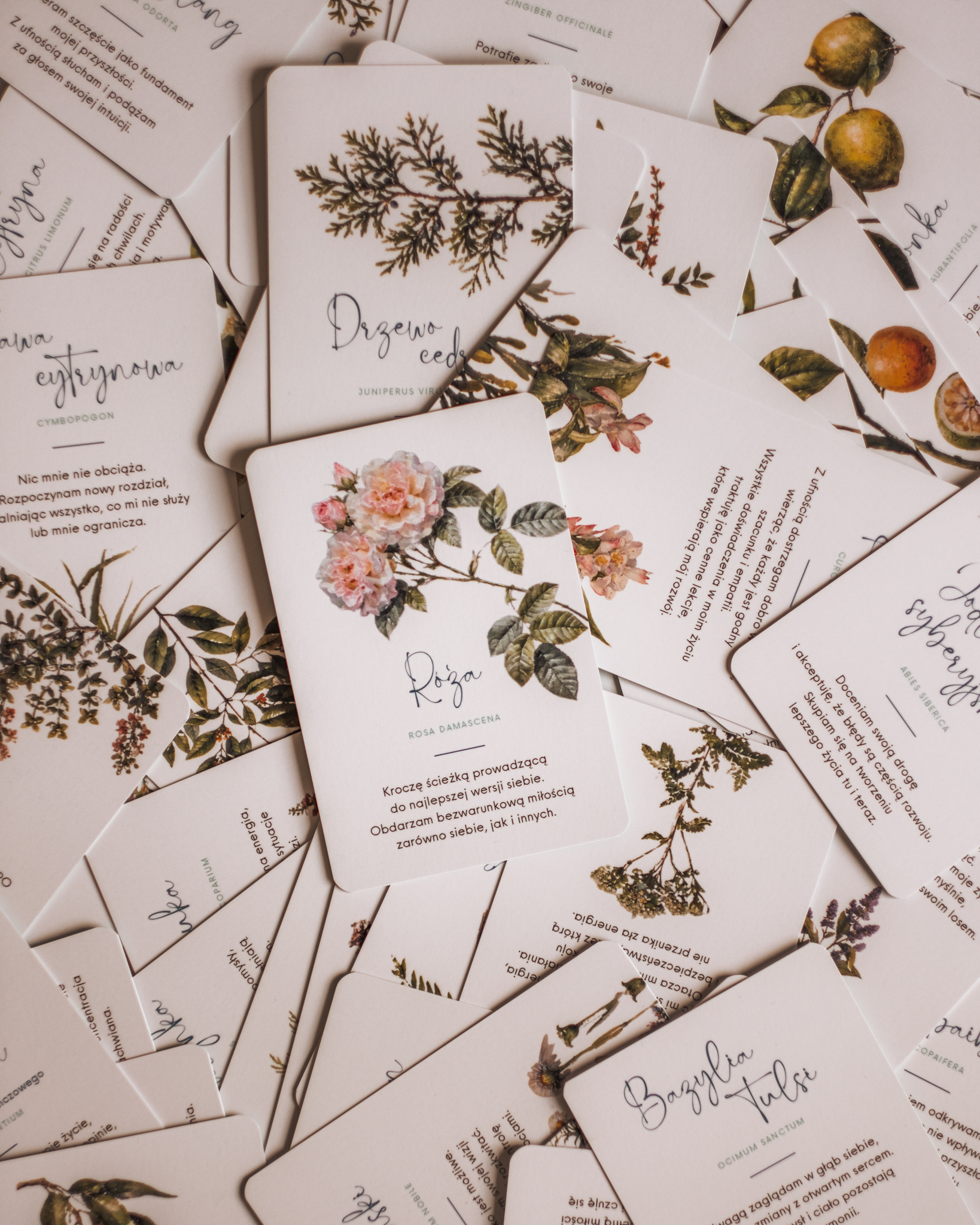 Perfumy botaniczne – jak tworzyć naturalne zapachy