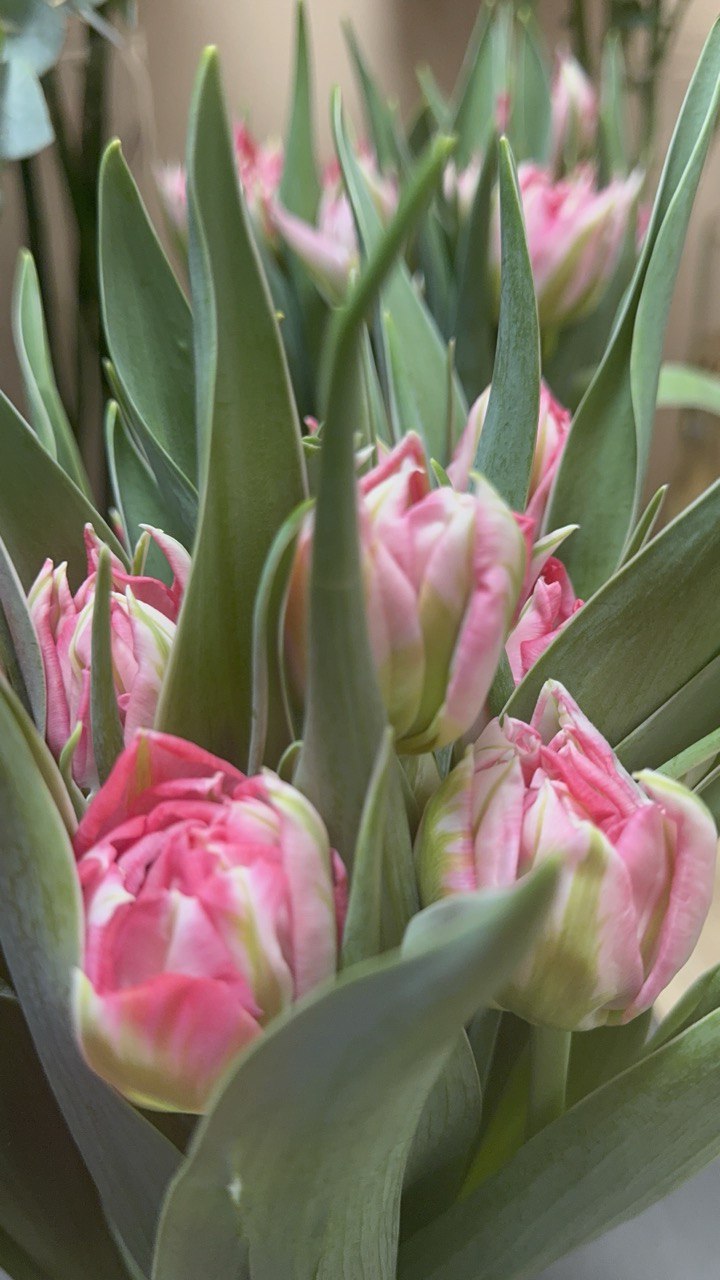 Warsztaty zapachowe - mgiełki do wnętrz - obrazek 3