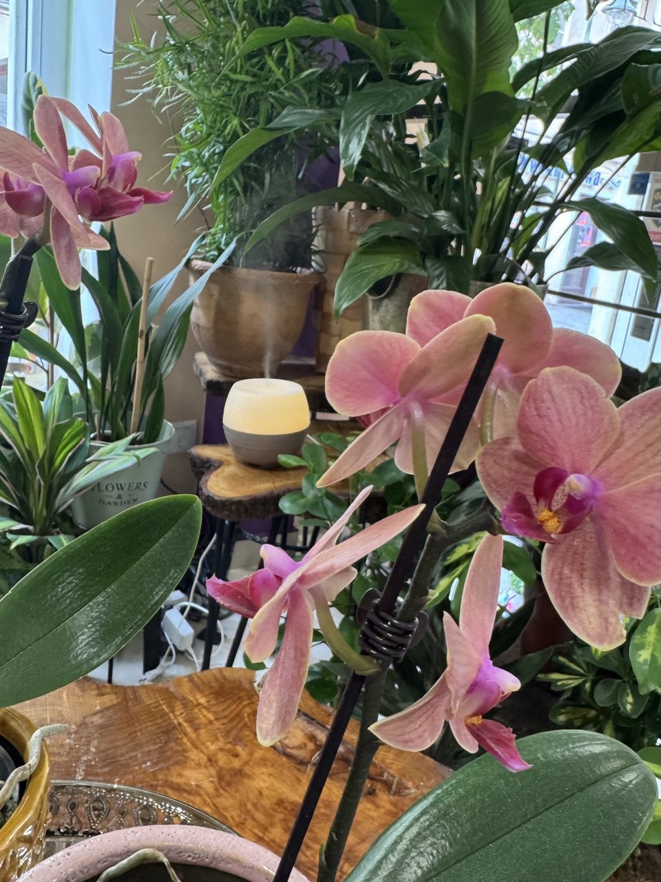 Warsztaty zapachowe - mgiełki do wnętrz